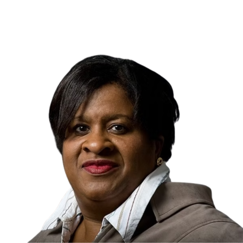 Ann Palmer