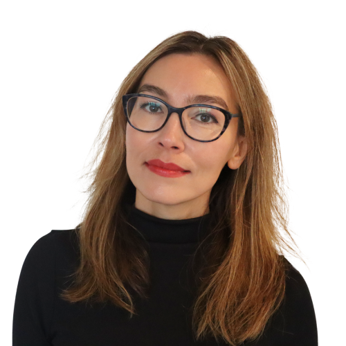 Elena Sinel, Teens in AI